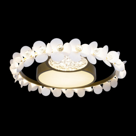 Потолочный детский светильник LOFT IT 10174