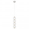 Подвесная люстра LOFT IT 10205/B
