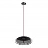 Подвесной светильник LOFT IT 8134-D