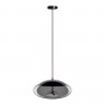 Подвесной светильник LOFT IT 8134-D