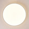 Накладной светильник Ambrella Light FF70