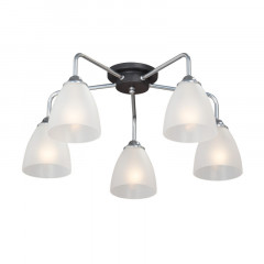 Накладная люстра Vitaluce V4500-9/5PL