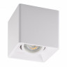 Накладной светильник Denkirs DK3030-WH