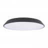 Накладной светильник LOFT IT 10226 Black
