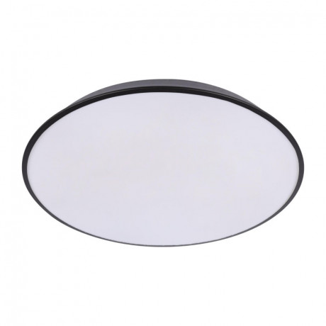 Накладной светильник LOFT IT 10226 Black