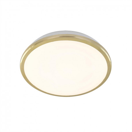 Накладной уличный светильник Citilux CL702162W