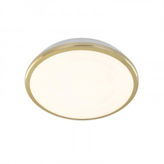 Накладной уличный светильник Citilux CL702162W