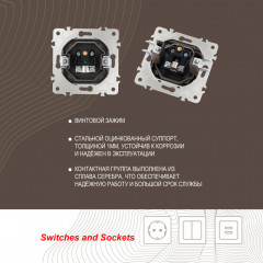 Розетка Arte Milano 203.43-1.shampan