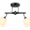 Накладной светильник Ambrella Light TR303063