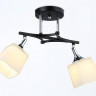 Накладной светильник Ambrella Light TR303063