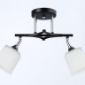 Накладной светильник Ambrella Light TR303063