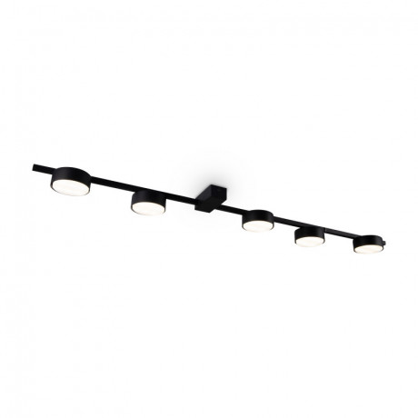 Накладной светильник Freya FR5363CL-05B