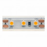 Лента DesignLed DSG3120-12-WW-65