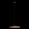 Потолочный детский светильник LOFT IT 10119 Orange