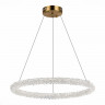 Подвесная люстра ST-Luce SL6110.213.01