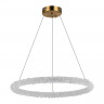 Подвесная люстра ST-Luce SL6110.213.01