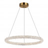 Подвесная люстра ST-Luce SL6110.213.01