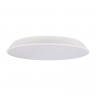 Накладной светильник LOFT IT 10226 White