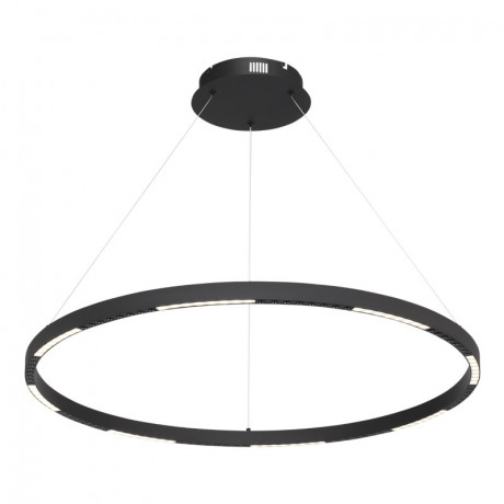 Подвесной светильник ST-Luce SL6238.443.01