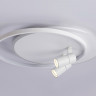 Накладной светильник Ambrella Light FL51391