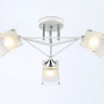 Накладной светильник Ambrella Light TR303071