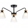 Накладной светильник Ambrella Light TR9564