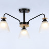 Накладной светильник Ambrella Light TR9564