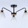 Накладной светильник Ambrella Light TR9564