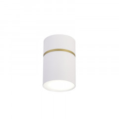 Накладной светильник Favourite 3067-1C