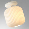 Подвесной светильник Odeon Light 5042/1C