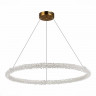 Подвесная люстра ST-Luce SL6110.223.01