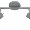 Спот ARTE Lamp A1677PL-2GY