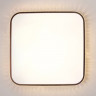 Накладной светильник Ambrella Light FF76
