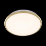 Накладной уличный светильник Citilux CL702222W