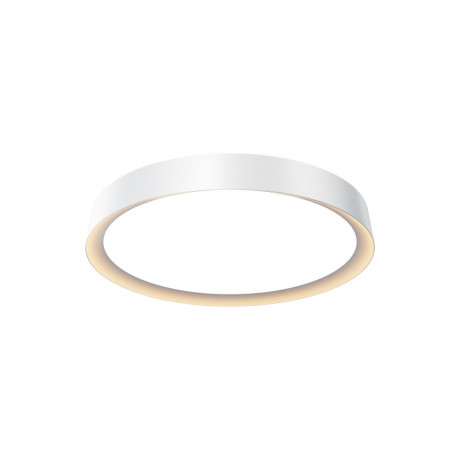 Накладной светильник Maytoni MOD426CL-L32WK