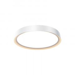 Накладной светильник Maytoni MOD426CL-L32WK