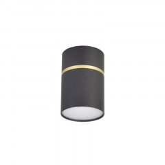 Накладной светильник Favourite 3068-1C