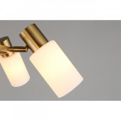 Подвесная люстра Omnilux OML-69103-06