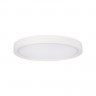 Накладной светильник LOFT IT 10227/24 White