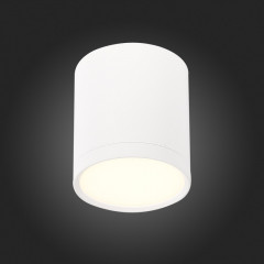 Накладной светильник ST-Luce ST113.532.05