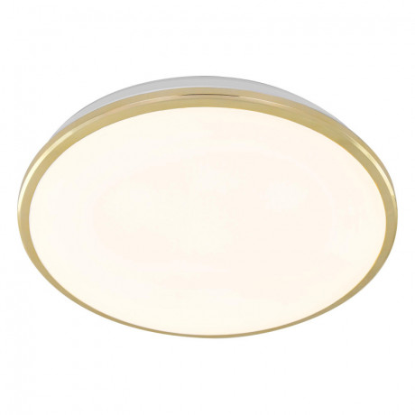 Накладной уличный светильник Citilux CL702302W