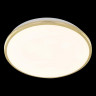 Накладной уличный светильник Citilux CL702302W