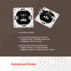 Розетка Arte Milano 205.43-1.black