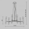 Подвесная люстра Maytoni MOD031PL-12B