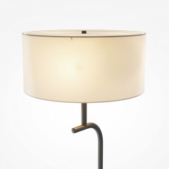 Торшер Maytoni MOD437FL-03B