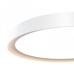 Накладной светильник Maytoni MOD426CL-L43WK