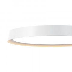 Накладной светильник Maytoni MOD426CL-L43WK