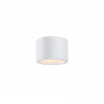 Влагозащищенный светильник Maytoni Technical C090CL-10W3K-W