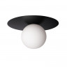 Накладной светильник LOFT IT 10120/250C Black
