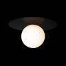 Накладной светильник LOFT IT 10120/250C Black